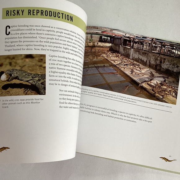4 /💲20 🤑 Alligator & Crocodile Rescue book - Picture 3 of 5